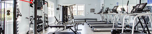 Renovated Fitness Center at Preserve  at Mill Creek, Buford, 30519