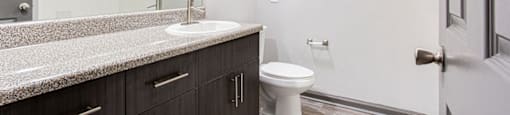 a bathroom with a sink and a toilet
