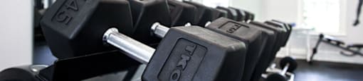 a row of black dumbbells in a gym