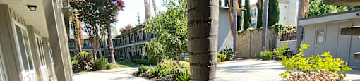 a palm tree in the yard of a house