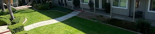 a view of the courtyard of a condo building with a lawn and palm trees