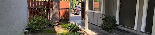 the front yard of a house with a garden and palm trees