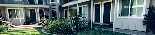 a yard in front of a building with grass and palm trees