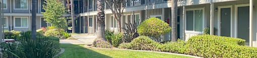 the courtyard of a condo building with a lawn and palm trees