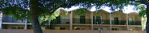 The street view of the Aegena apartment townhomes with fenced patios and a tree on the left hand side Prodesse Property Group 1211 Garbo Way  San Jose, CA 95117
