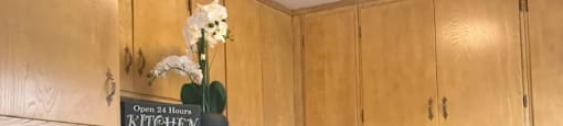 240 Di Salvo AvenueSan Jose, CA 95128