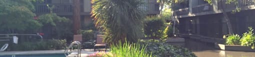 Water and Pool