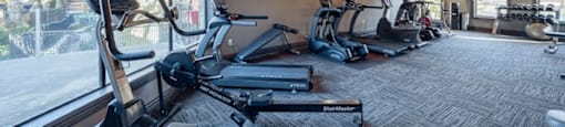 A gym with treadmills, elliptical machines, and other exercise equipment.
