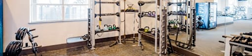 A well-equipped home gym with a squat rack, bench, and various weights.