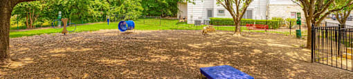A park with a blue mattress and trees.