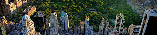 A cityscape with a large green park in the middle.