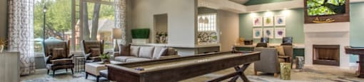 Shuffleboard Table