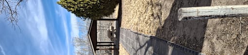 A wall with a small tree growing out of it.
