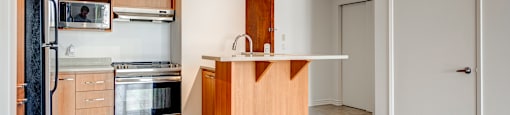 Le-Demetrius-2-Bedroom-Kitchen