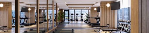 A gym with a row of exercise balls and a row of exercise bikes.