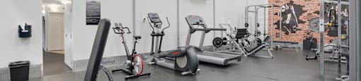 A gym with a variety of equipment including a treadmill, a stationary bike, a rowing machine, a bench press, a squat rack, a leg press machine, a cable machine, a dumbbell