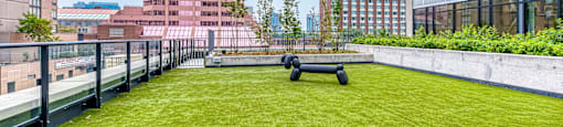 A grassy area with a bench in the middle of it.
