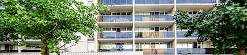 A large building with balconies and a tree with red flowers in front.