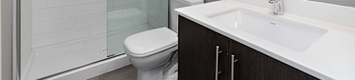 A white toilet sits next to a walk-in shower in a bathroom.