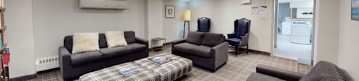 Library room with sofas