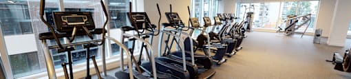 A gym with treadmills and elliptical machines.