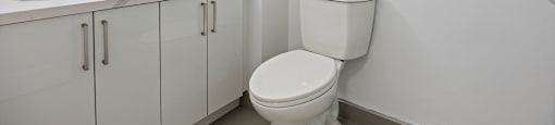 a bathroom with a toilet and a sink and a mirror