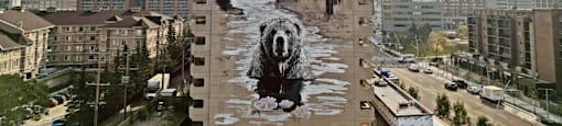 a mural of a bear on the side of a building
