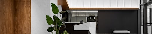 A modern office space with a reception desk, chairs, and a potted plant.