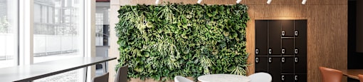 A room with a green wall and chairs.