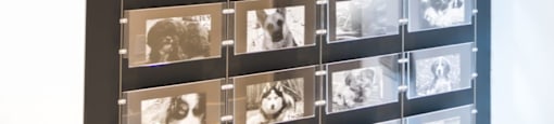 A wall of black and white photos.