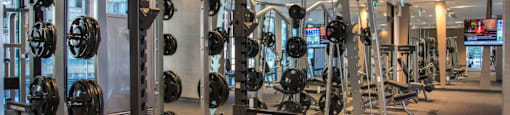 A gym with a row of squat racks.