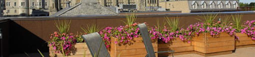 Rooftop patio and outdoor terrace.  Thumbnail click to zoom.