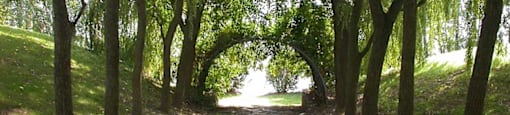 Serene forest paths.  Thumbnail click to zoom.