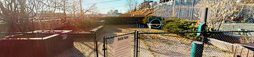 Stanley-Park-Dog-Run-1