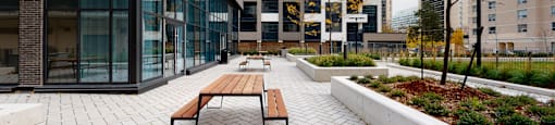 A bench sits in the middle of a paved courtyard.