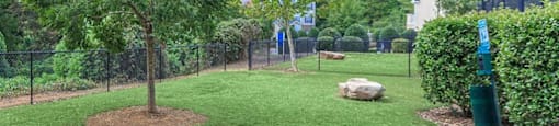 Pet Park
