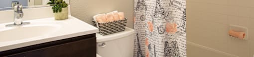 a bathroom with a shower curtain and a toilet and a sink