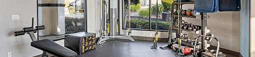 A home gym with a bench, weights, and exercise equipment.