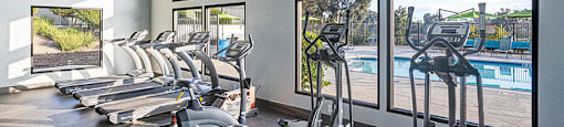 A gym with treadmills and elliptical machines.