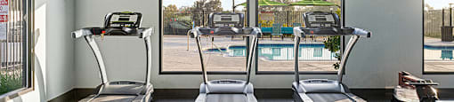 Three treadmills are lined up in a gym with a view of the outdoors through the windows.