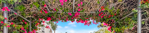 a walkway with pink flowers on both sides of it