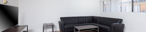 A living room with a black couch, a television, and a ceiling fan.