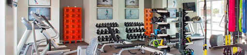 A well-equipped gym with various exercise machines and weights.