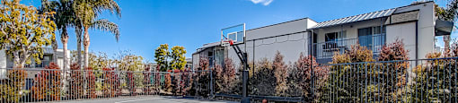a basketball court at the enclave at woodbridge apartments in sugar land, tx