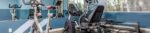 the gym has plenty of cardio equipment and a flat screen tv