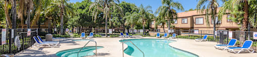 our apartments have a large pool with chairs and palm trees