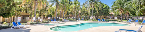 a swimming pool with blue chairs and palm trees