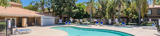 our resort style swimming pool is next to our buildings and trees