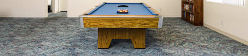 a game room with a pool table and a book shelf