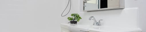 a bathroom with a sink and a mirror and a shower